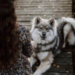 Braunhaarige Frau im schönen Boho-Blumenkleid beschützt ihre aufgeweckte Eurasier-Hündin.